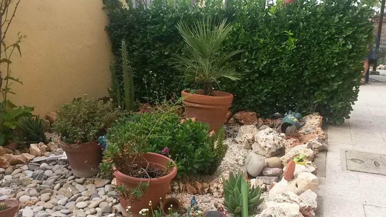 B&B Si Sta Bene 奥斯蒂亚·安提卡 外观 照片